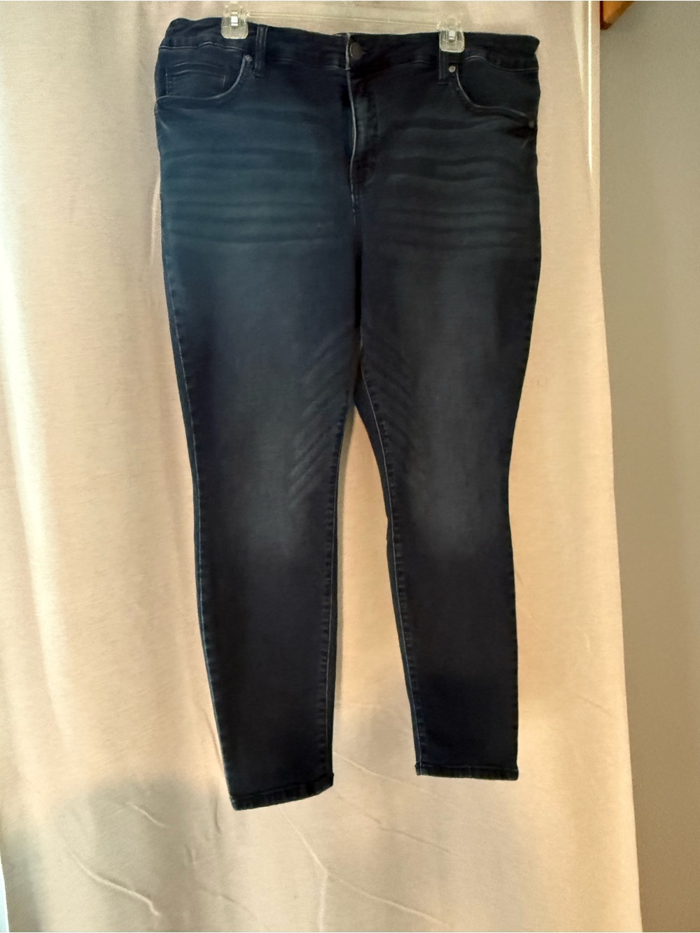 Terra & Sky Dark Indigo Skinny Jeans
